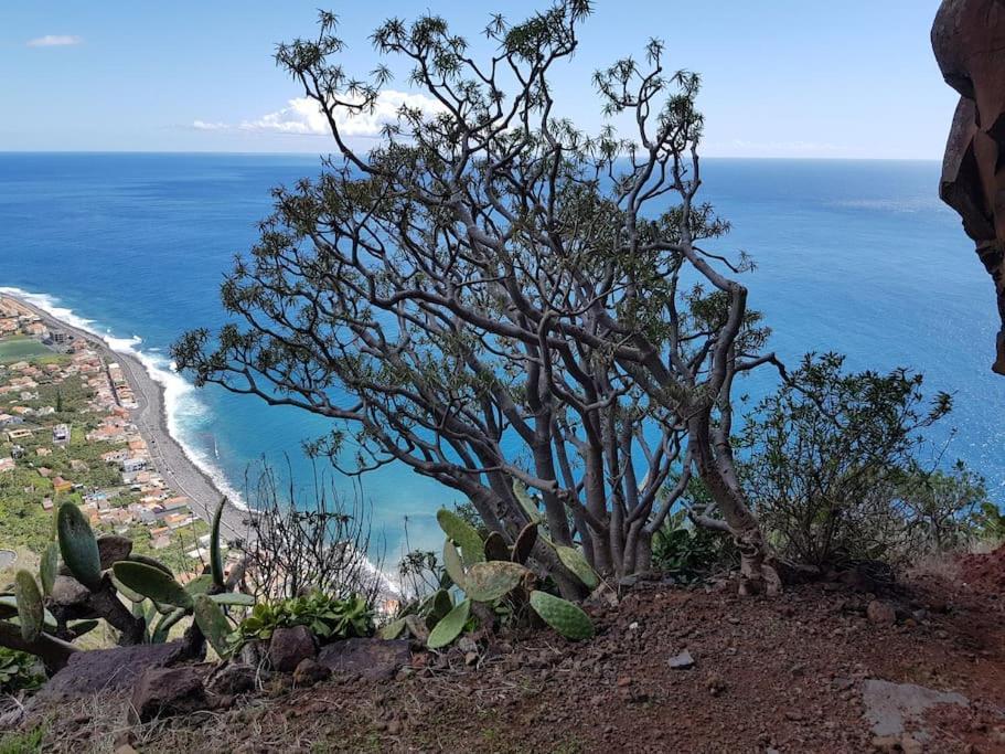 O Pomar - A Quiet Sunny Place With Amazing Sea Views بول دو مار المظهر الخارجي الصورة